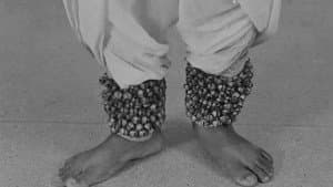Birju Maharaj — foto 3