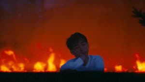 アンモナイトのささやきを聞いた — foto 4