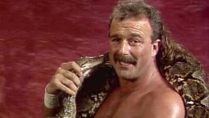 WWE Crunch Classic — foto 1