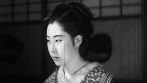 折鶴お千 — foto 12