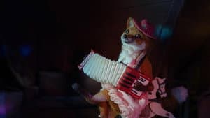 Dragfox — foto 4