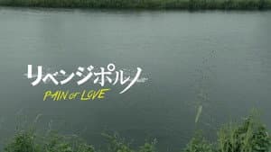 Revenge Porn: Pain of Love — foto 2