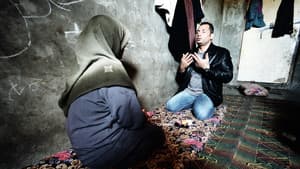 Unge Freud i Gaza — foto 2