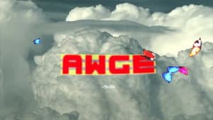 AWGE DVD: Volume 3 — foto 1