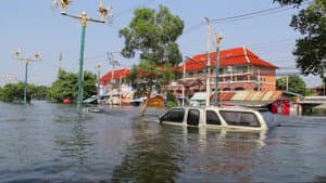 Don't Panic: The Truth About Population — foto 4