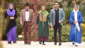 موچین — foto 1