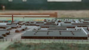 Oorlog in Westerbork — foto 1