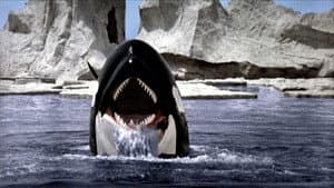 Orca, La ballena asesina — foto 6