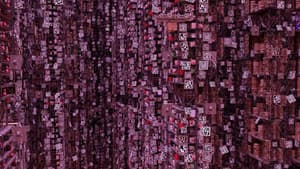 Valentine in Things City — foto 4