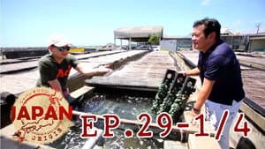 Episodio 29