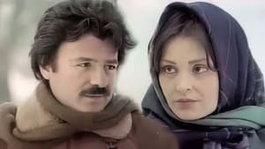 Her Şeyim Sensin — foto 2