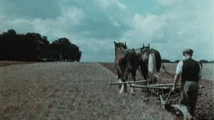 English Harvest — foto 1