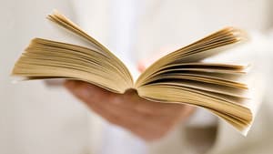 The Beauty of Books — foto 1