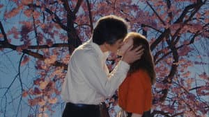 Sidonie au Japon — foto 2