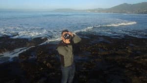The Ocean — foto 1