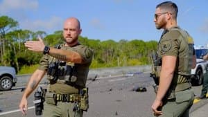 Episodio 7