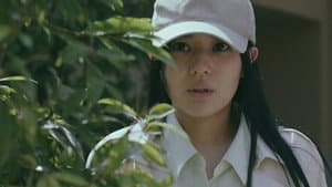 逃亡花 — foto 1