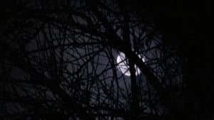 Crystal Lake Memories: The Complete History of Friday the 13th — foto 11