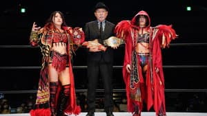 スターダムドリームクイーンダム — foto 3