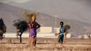 Made in Ethiopia — foto 3