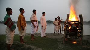 রূপসা নদীর বাঁকে — foto 1