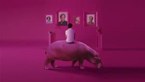 The Hippopotamus — foto 9