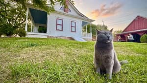 Red Letter Media Investigates: The Villisca Ax Murder House — foto 2