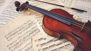 The Art of Violin — foto 1