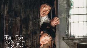 不期而遇的夏天 — foto 1