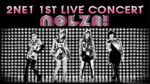 2NE1: 1st Live Concert NOLZA — foto 1