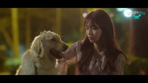 My Woofy Poofy Love — foto 1