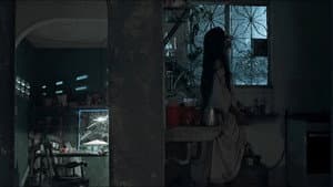 Jaci — foto 1