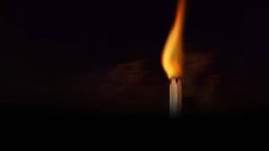 La mano en el fuego — foto 3