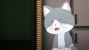 Episodio 12
