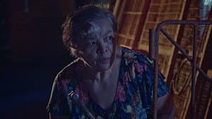 Ang Pagbabalik ng Kwago — foto 9