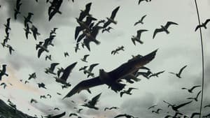 Leviathan — foto 11