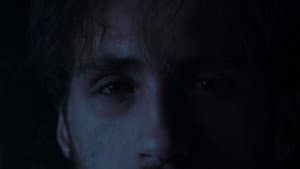 Concealment — foto 1