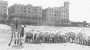 La primera mirada: historia de una escuela de cine — foto 5