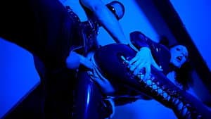 Rubbercats — foto 9