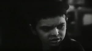 Dječaci — foto 1