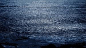 We Put the World to Sleep — foto 5