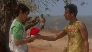 El tigre y la flor — foto 2