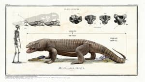 Big Beasts: Last of the Giants — foto 8
