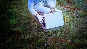 Pandora's Box: Unleashing Evil — foto 2