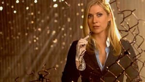 CSI: Miami — foto 4