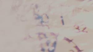 Watersmith — foto 2