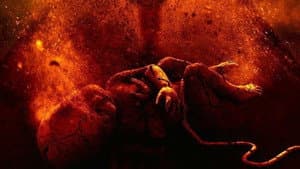 Araf 2: El hijo del demonio — foto 3