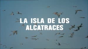 Episodio 16