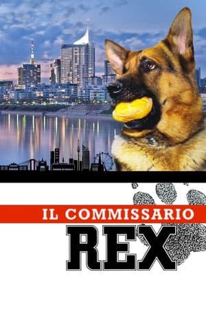 Temporada 6
