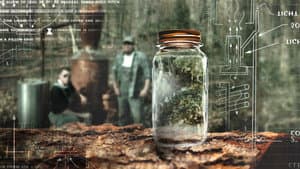 Moonshiners — foto 4